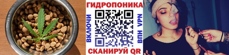 Купить где  Кирс  Canna-Cookies марихуана 
