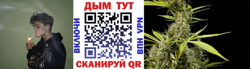 Купить закладки  Кирс  МАРИХУАНА OG Kush 